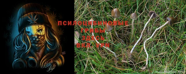 тгк Зерноград