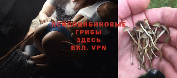 эйфоретик Иннополис