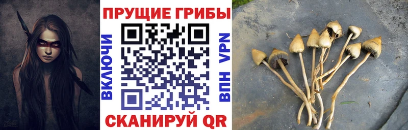 Купить закладки Нытва Псилоцибиновые грибы Magic Shrooms